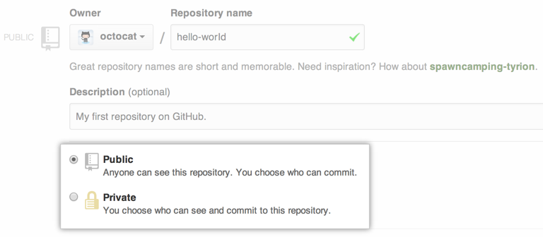 Public and private repository options