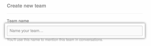 Team name field