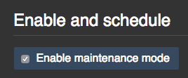 メンテナンスモードの有効化とスケジューリングのためのチェックボックス