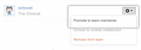 Team member settings with promote to team maintainer option selected
