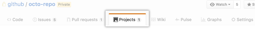 Project tab