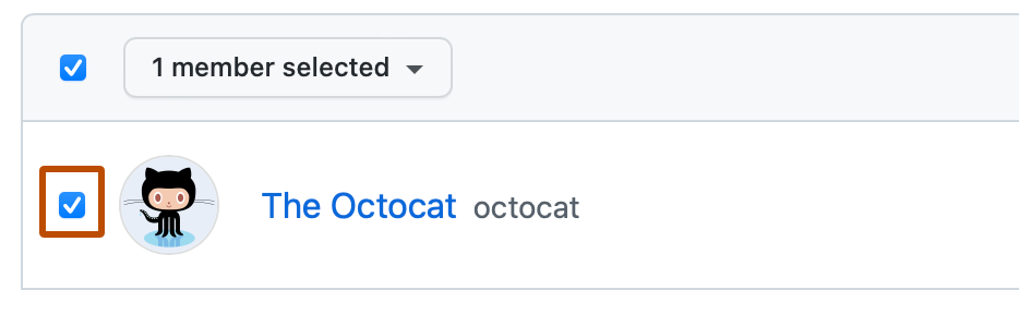 Screenshot of the first user in a list of team members. To the left of the user, a checkbox is checked and outlined in dark orange.
