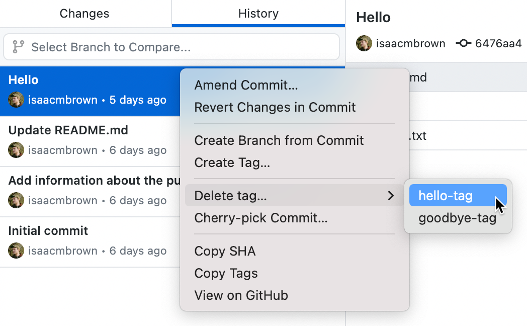 Screenshot of a context menu in the "History" tab. Next to "Delete tag", a second menu is expanded. The cursor hovers over "hello-tag".