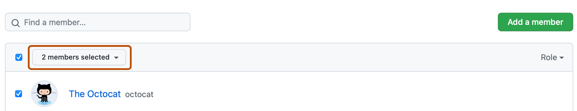 Screenshot of a team's "Members" page. Above the list of team members, a dropdown menu, labeled "2 members selected", is outlined in dark orange.