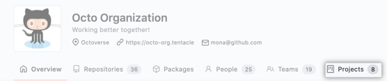 Projects tab for your organization