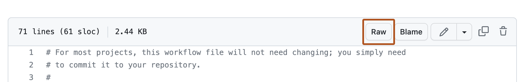 Screenshot of a file. In the header, a button, labeled "Raw," outlined in dark orange.